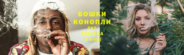 мдпв Козловка