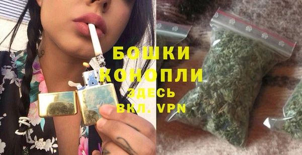 мдпв Козловка