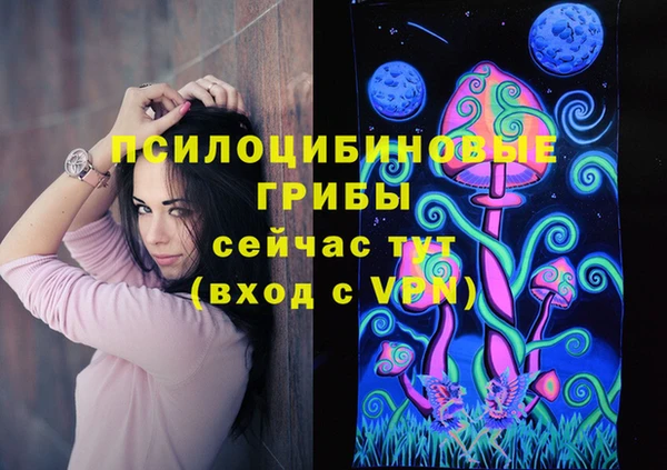 эйфоретик Коряжма