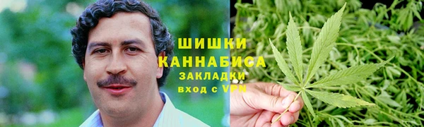 мдпв Козловка