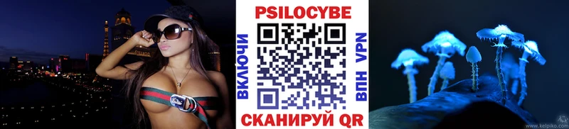 Купить где  Новомосковск  Галлюциногенные грибы Psilocybine cubensis 